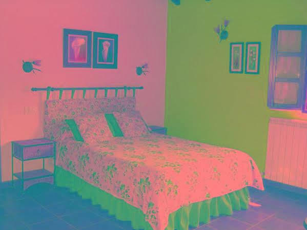 El Chisco Otel San Cosme Dış mekan fotoğraf